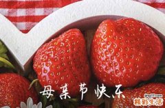 2024年母亲节祝福问候语摘录56条母亲节给母亲的祝福语