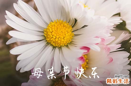 2024年母亲节祝福QQ问候语大汇总70条