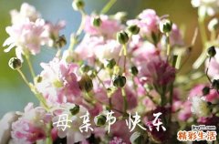 母亲节2024祝福语大全感恩母亲节的话唯美简短