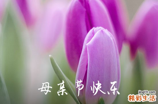 2024精選母親節(jié)優(yōu)美的祝福語(yǔ)27句母親節(jié)賀詞句子精選