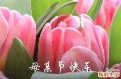 2024年温馨母亲节祝福语短信锦集71条母亲节吉祥话怎么说