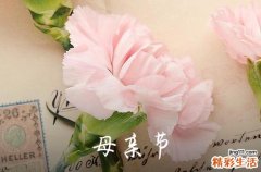 2024年母亲节给妈妈的QQ祝福语22条母亲节祝福的话