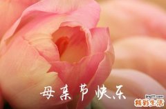 2024年母亲节祝福微信问候语26句母亲节祝福短句