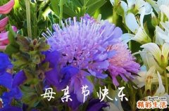 2024表达母亲节快乐的微信祝福语摘录35句