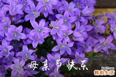 2024年母亲节微信祝福语39句祝母亲节快乐的微信祝福语