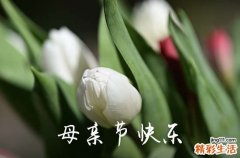 2024年度母亲节祝愿语母亲节祝愿语