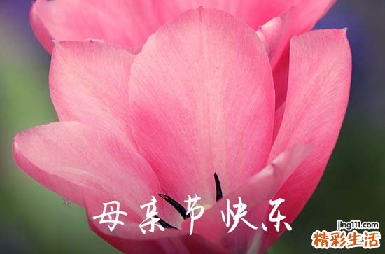 2024年精选祝母亲节快乐的祝福语集合30条