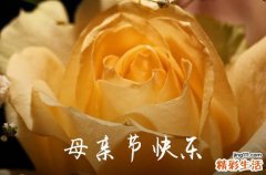 2024年感动妈妈的母亲节祝福语31句