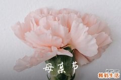 温馨五月母亲节祝福语2024感恩母亲节的话唯美简短
