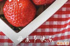 2024年母亲节祝福QQ问候语38句母亲节祝福语简短