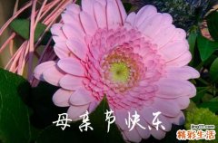 2024年精选母亲节祝福问候语摘录18句