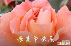 2024精选母亲节优美的祝福语45句感恩母亲节暖心短句