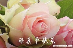 2024年母親節(jié)贊譽母親的短信母親節(jié)祝福語簡短