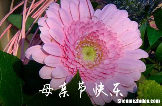2024年母親節(jié)祝福語微信合集55句母親節(jié)寄語唯美短