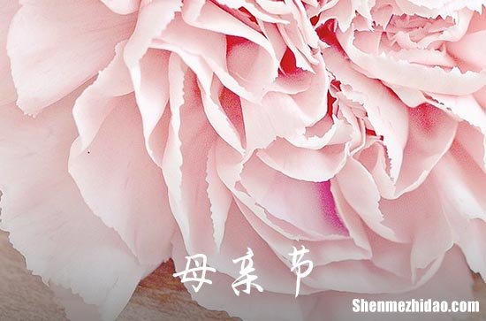 20224年母親節(jié)祝福QQ問候語集錦56句