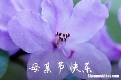 2024年祝母親節(jié)快樂的祝福語集錦58條 祝母親節(jié)日快樂的句子