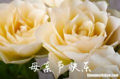 2024年優(yōu)美的母親節(jié)QQ祝福語33條母親節(jié)發(fā)QQ的精美句子