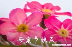 2024給男盆友媽媽的母親節(jié)祝愿語母親節(jié)送給男朋友媽媽的祝福語