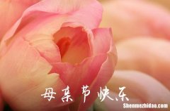 2024年母親節(jié)祝福問候語匯編43句母親節(jié)祝福語簡短