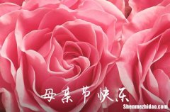 2024年精選母親節(jié)祝福問候語大匯總69句