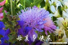 2024年溫馨母親節(jié)QQ祝福語39條給母親節(jié)祝福語簡短獨特