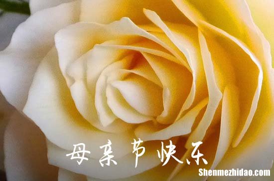 2024祝母親節(jié)快樂的祝福語匯編53句祝母親節(jié)日快樂的句子