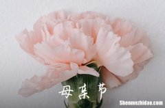 2024年母親節(jié)祝福語50條母親節(jié)的最經(jīng)典金句