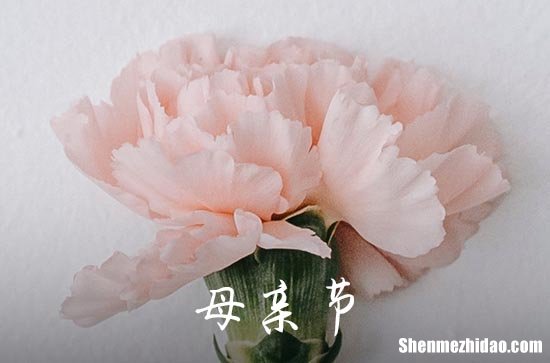 2024年母親節(jié)祝福語50條母親節(jié)的最經(jīng)典金句