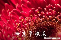 2024年母親節(jié)祝福微信問候語21句