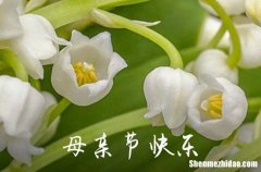 2024年母親節(jié)送老母親感人祝愿語寫給母親節(jié)的祝福語