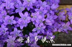 2024年關(guān)于母親節(jié)的祝愿語母親節(jié)寄語唯美短