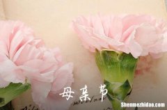 2024精選表達母親節(jié)快樂的祝福語集合46條母親節(jié)祝福語簡短語句