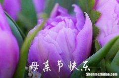 2024精選表達(dá)母親節(jié)快樂(lè)的祝福語(yǔ)37句