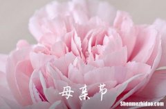 2024年母親節(jié)祝愿語(yǔ)母親節(jié)寄語(yǔ)唯美短