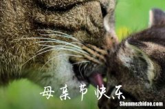 2024年感恩母親節(jié)祝福大全感恩母親節(jié)祝福大全