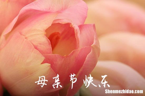 2024年母親節(jié)祝福問候語QQ大集合55條女兒感謝媽媽的暖心語