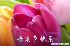 2024年精選暖心母親節(jié)祝福語合集37條感恩母親節(jié)的話語暖心