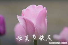 2024祝母親節(jié)快樂的祝福語短信摘錄35句