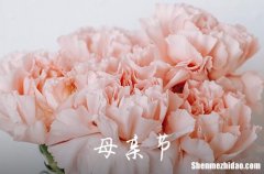 2024年祝母親節(jié)快樂的QQ祝福語28句感恩媽媽暖心短句唯美