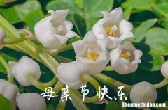 2024年母親節(jié)給媽媽的祝福語集合62句 母親節(jié)感恩的句子