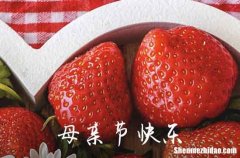 2024年母親節(jié)祝福語短信推薦母親節(jié)溫馨短信祝福語