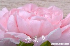 母親節(jié)祝福語短信2024年母親節(jié)祝福語大全