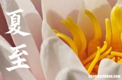 2024年夏至是幾月幾日 夏至習俗