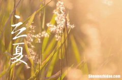 2024年立夏是幾月幾日 立夏習(xí)俗