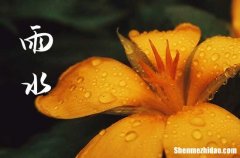 24年雨水是幾月幾號(hào) 雨水習(xí)俗