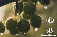 2024年雨水是幾月幾號 雨水下雨有什么說法