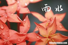 2024年雨水節(jié)氣是哪一天 雨水的特點(diǎn)