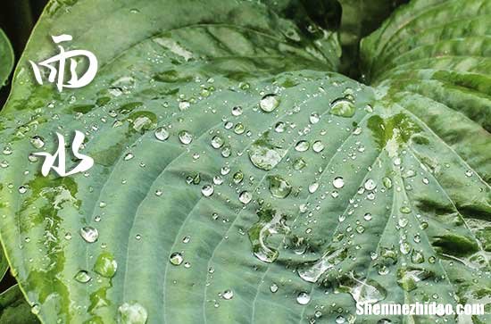 2024年雨水節(jié)氣具體時間幾點幾分 雨水節(jié)氣物候特征