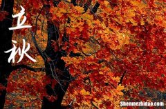 2024年立秋早還是晚