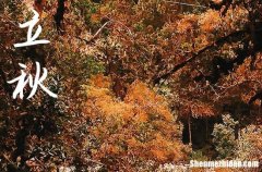 2024早秋還是晚秋 早秋和晚秋有什么說法